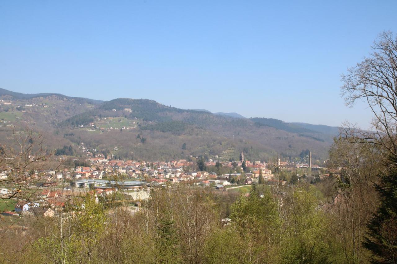 Gite Le Chataignier Luttenbach-près-Munster Exteriör bild